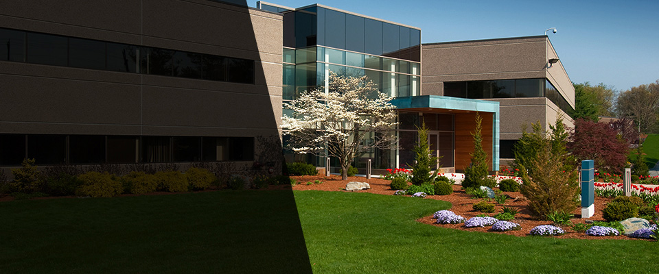 Royal Oak Landscapers